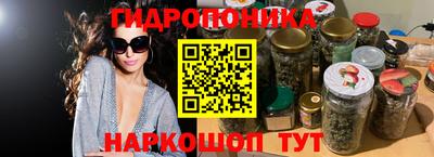 индика Вышний Волочёк