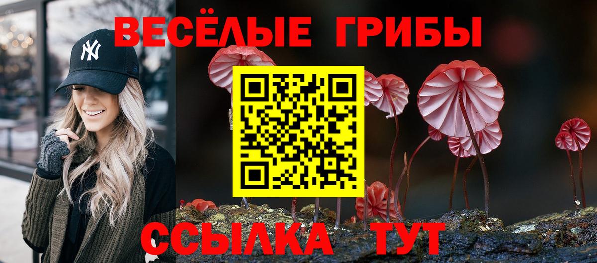 купить  сайты  Псилоцибиновые грибы прущие грибы  Вход с VPN  Псилоцибиновые грибы GOLDEN TEACHER  Гай 