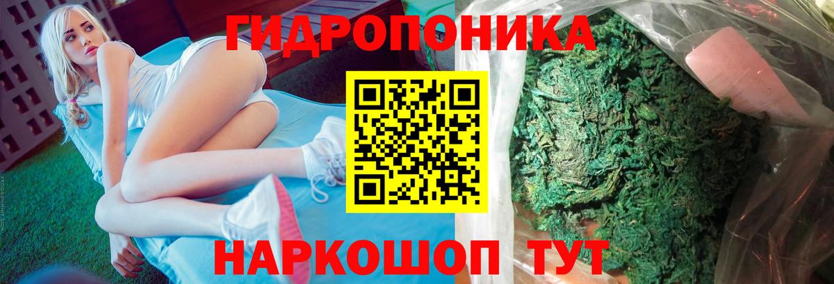Каннабис ГИДРОПОН Гай